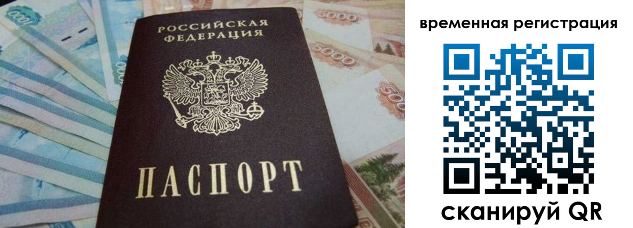 временная регистрация гарантия в Тогучине